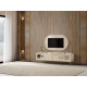 Assa Tv Modul